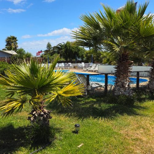 20ecc274-d186-4b41-bd74-5872ca895192